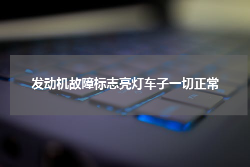 发动机故障标志亮灯车子一切正常