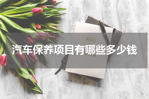 汽车保养项目有哪些多少钱