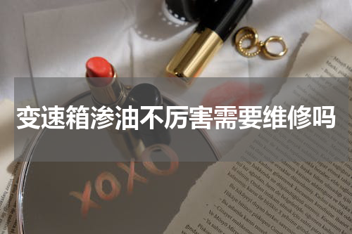 变速箱渗油不厉害需要维修吗