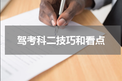驾考科二技巧和看点