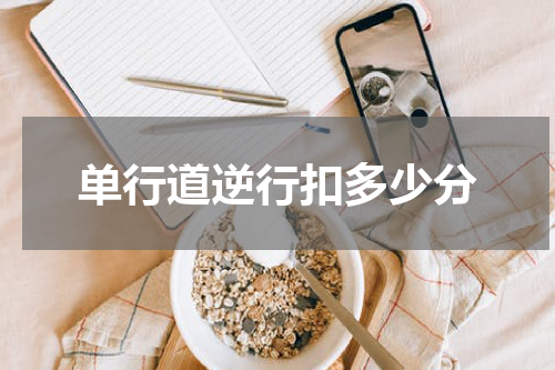 单行道逆行扣多少分