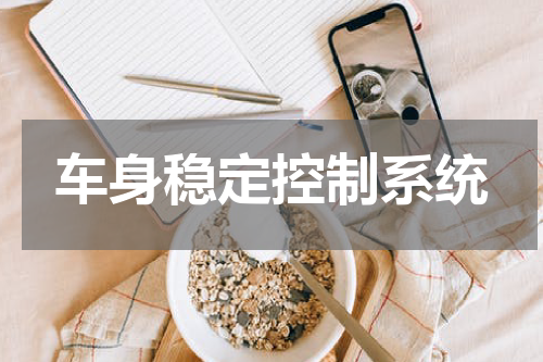 车身稳定控制系统