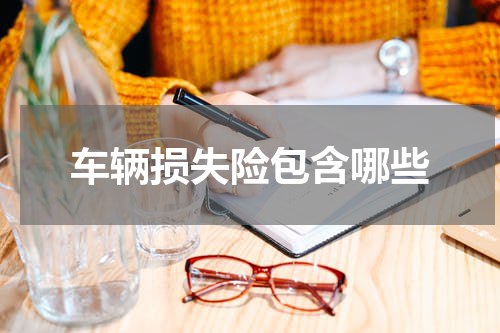 车辆损失险包含哪些