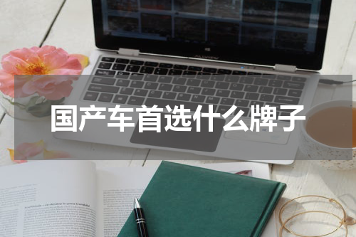 国产车首选什么牌子
