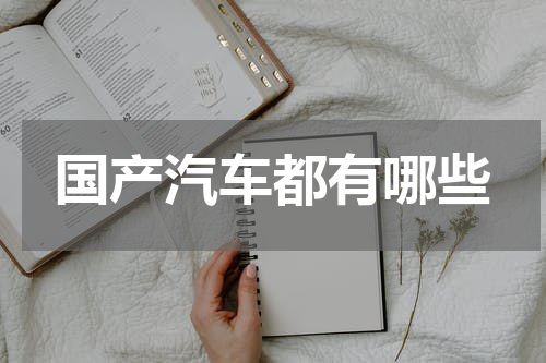 国产汽车都有哪些