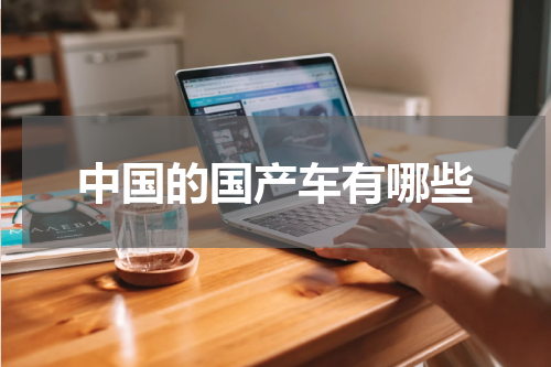 中国的国产车有哪些