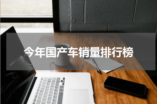 今年国产车销量排行榜