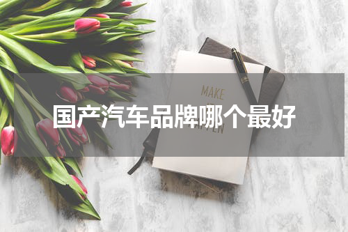 国产汽车品牌哪个最好