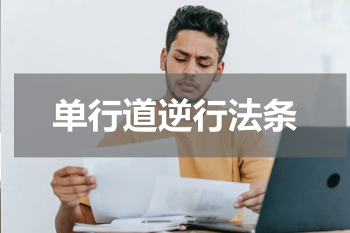 单行道逆行法条