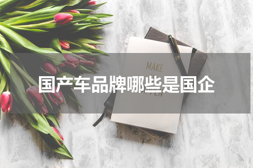 国产车品牌哪些是国企