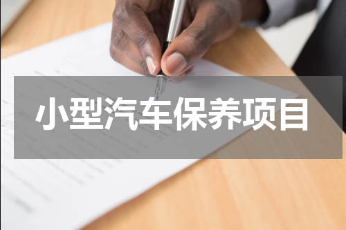 小型汽车保养项目