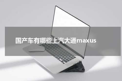 国产车有哪些上汽大通maxus