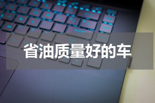 省油质量好的车