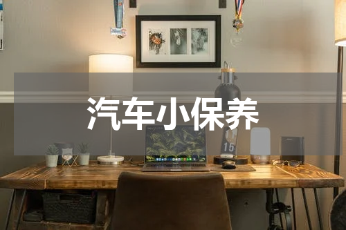 汽车小保养