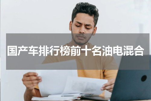 国产车排行榜前十名油电混合