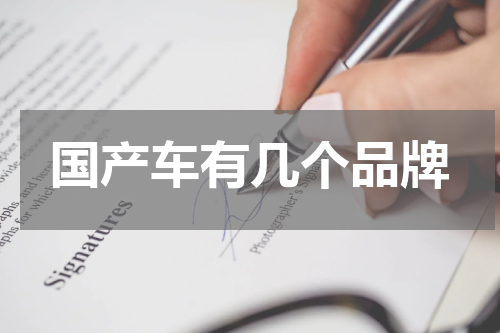 国产车有几个品牌
