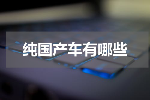 纯国产车有哪些