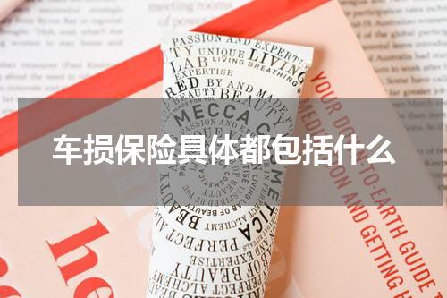 车损保险具体都包括什么