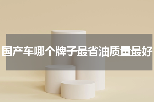 国产车哪个牌子最省油质量最好