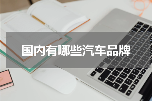 国内有哪些汽车品牌