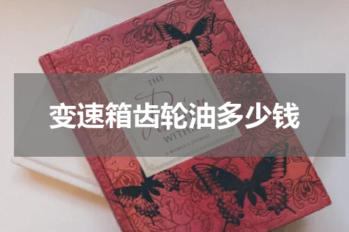 变速箱齿轮油多少钱