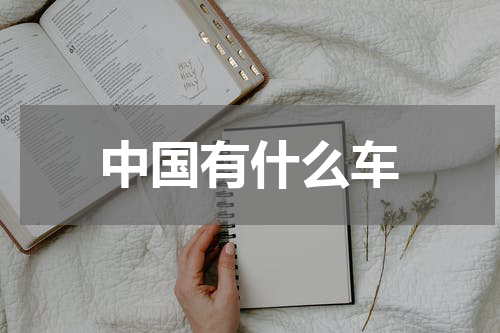 中国有什么车