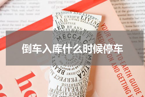 倒车入库什么时候停车