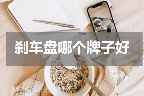 刹车盘哪个牌子好