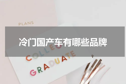 冷门国产车有哪些品牌