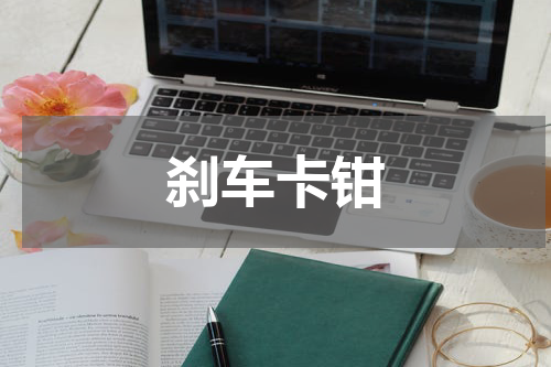 刹车卡钳