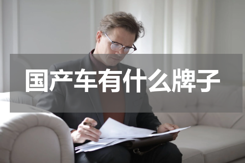 国产车有什么牌子