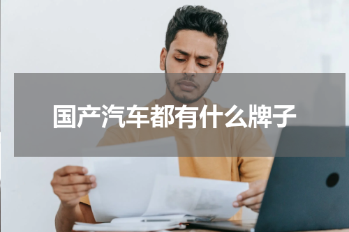 国产汽车都有什么牌子