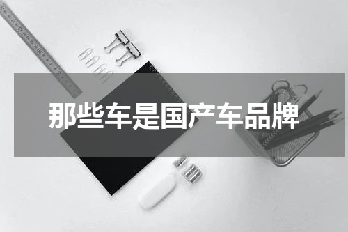 那些车是国产车品牌