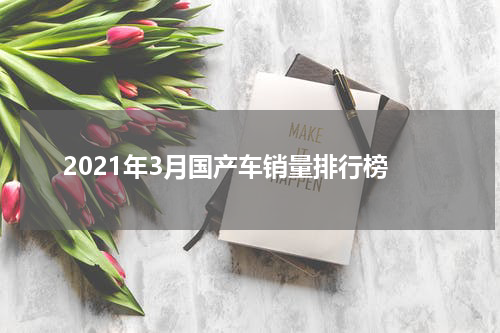 2021年3月国产车销量排行榜