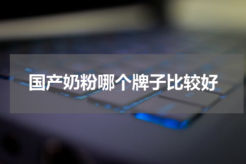 国产奶粉哪个牌子比较好