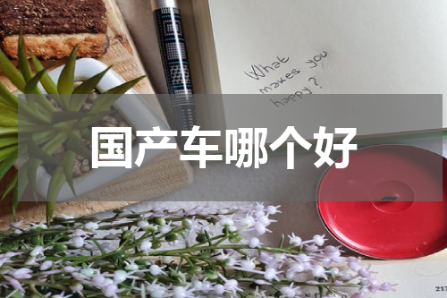 国产车哪个好