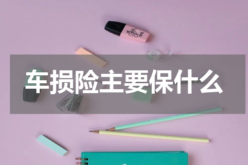 车损险主要保什么