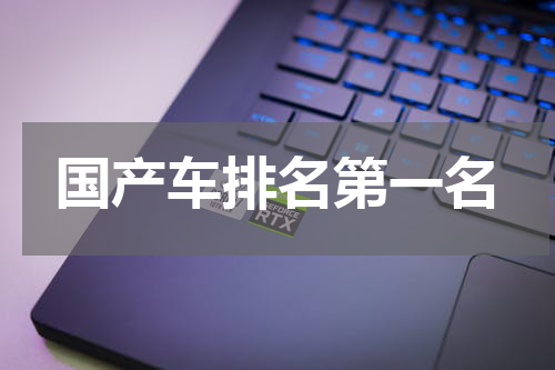 国产车排名第一名