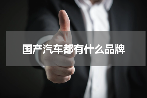 国产汽车都有什么品牌