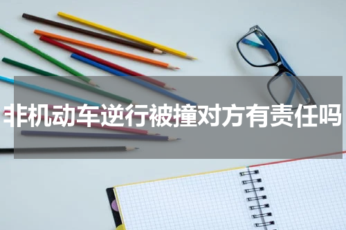 非机动车逆行被撞对方有责任吗
