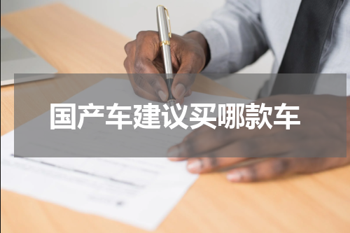 国产车建议买哪款车