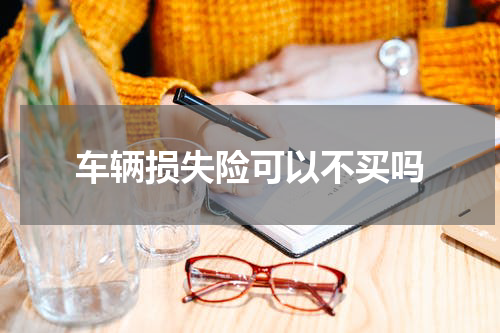 车辆损失险可以不买吗
