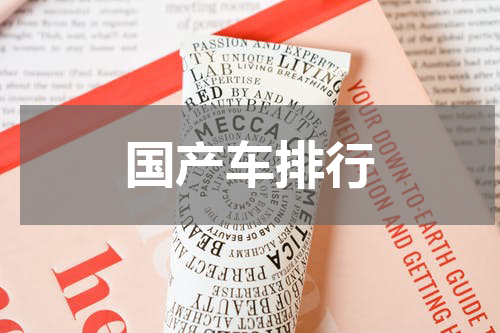 国产车排行