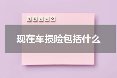 现在车损险包括什么