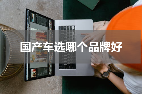 国产车选哪个品牌好