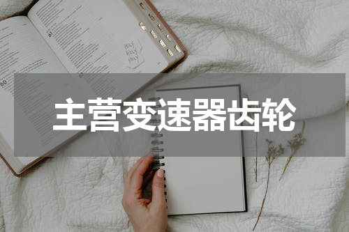 主营变速器齿轮