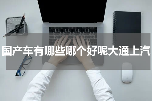 国产车有哪些哪个好呢大通上汽