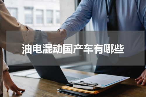 油电混动国产车有哪些