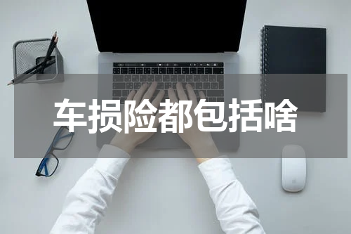 车损险都包括啥