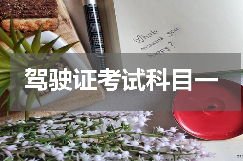 驾驶证考试科目一